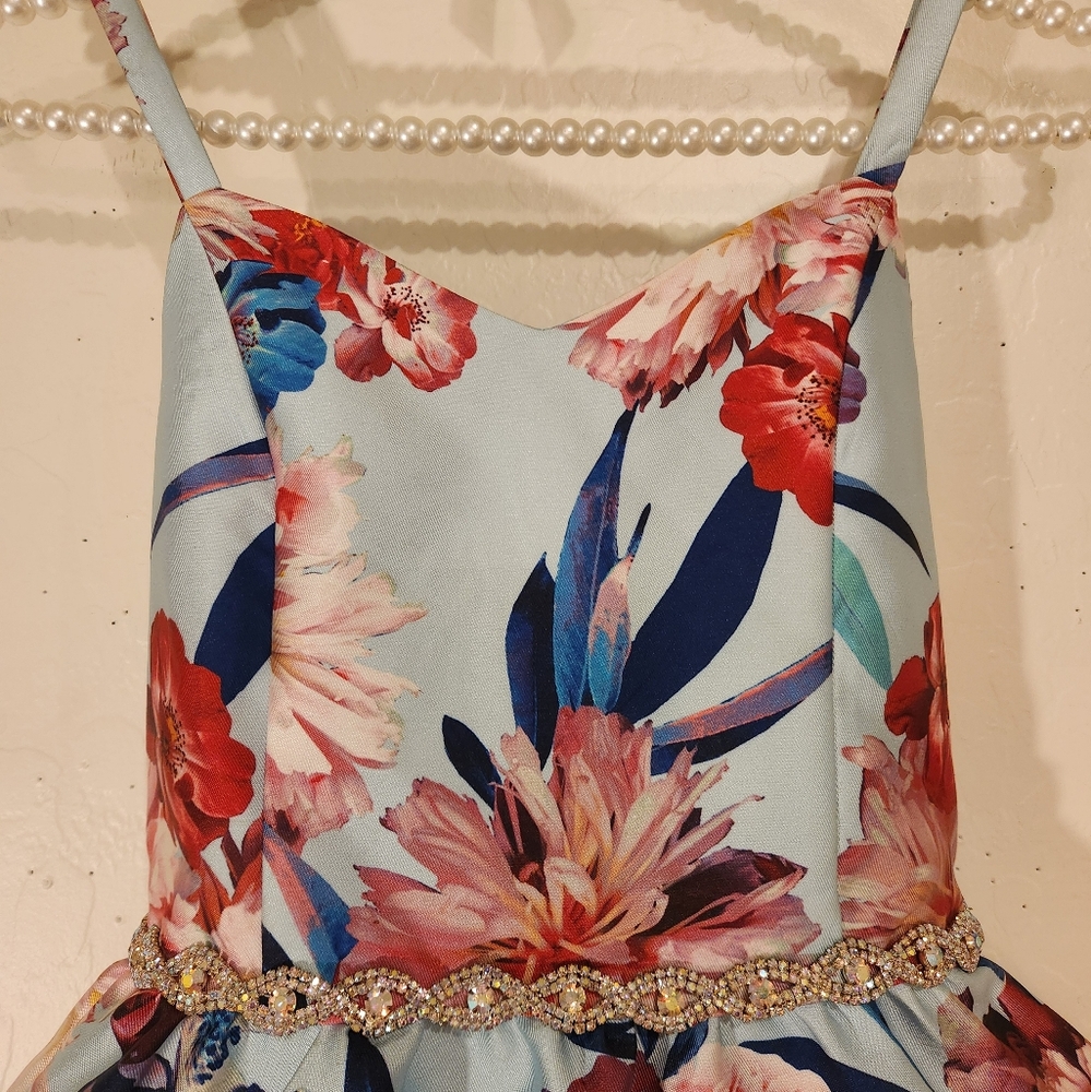 Rare Editions Blue and Red Floral Dress